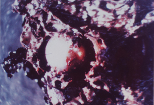 Microscopic Debris Found Embedded in  Door